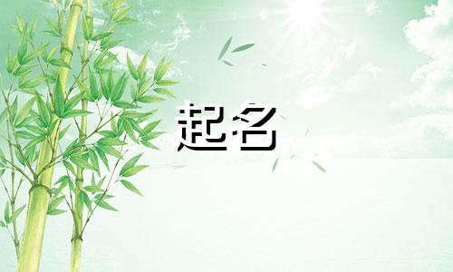 兔年起名应该用哪些字起
