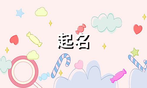 雅致的养生名字有哪些起名