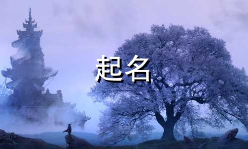 用小字起名的名人有哪些