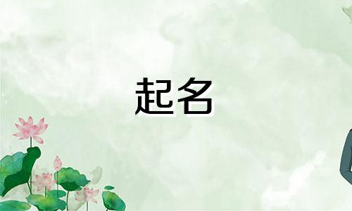 起名软件免费版有哪些