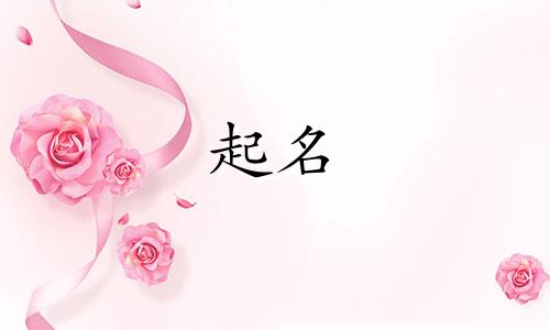 沈阳起名取字的地方有哪些