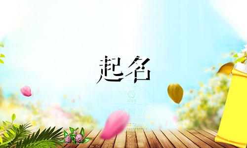 推荐起名的网站有哪些免费