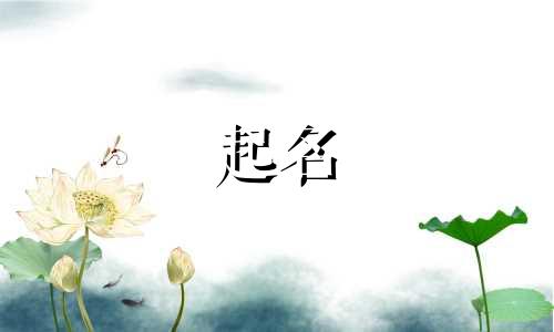 起名操作系统有哪些软件