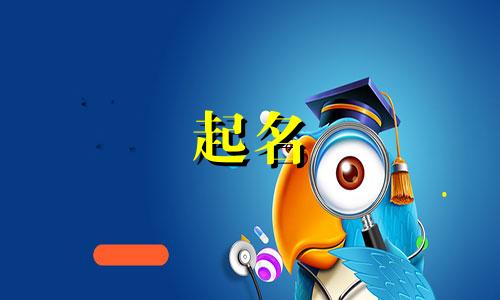 给小猫起名谐音字有哪些