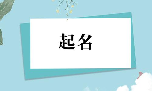 起名适合看哪些书籍的书