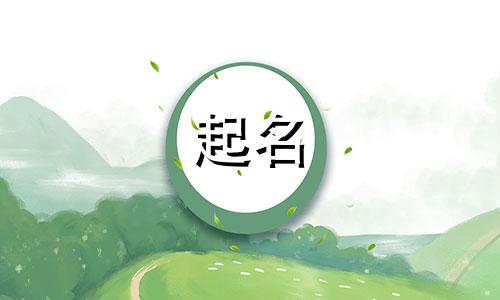 电商起名软件有哪些好用