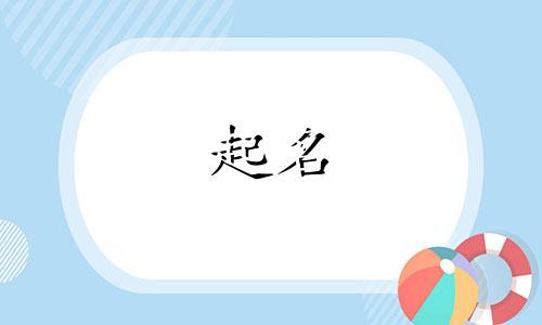 动物起名小程序有哪些好用