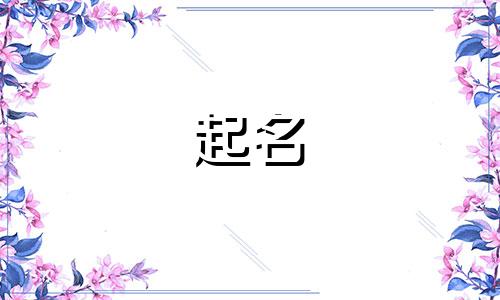 熊猫起名规律有哪些呢英语