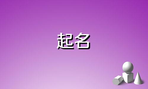 看脸起名软件有哪些免费