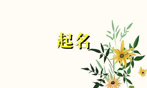 淮北起名公司有哪些名字