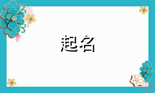 黑猫起名字故事有哪些