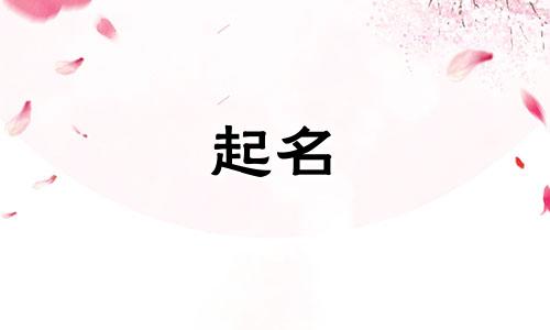 公司现在起名方式有哪些