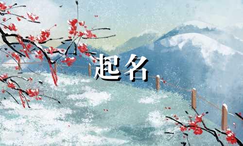根据柚子起名的网名有哪些