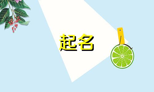 关于支付公司的起名有哪些