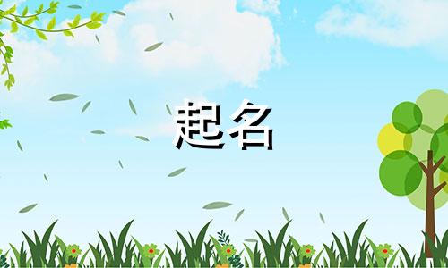 动漫公司的起名规则有哪些