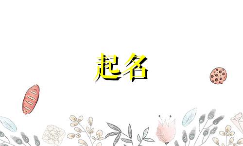 包头起名有趣店铺名称有哪些