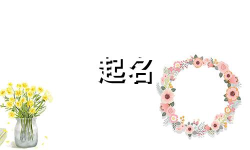 个体户起名行业有哪些