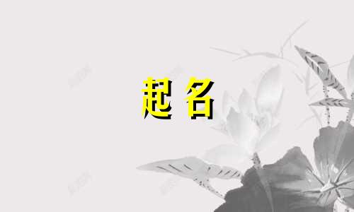 推荐起名的软件免费有哪些