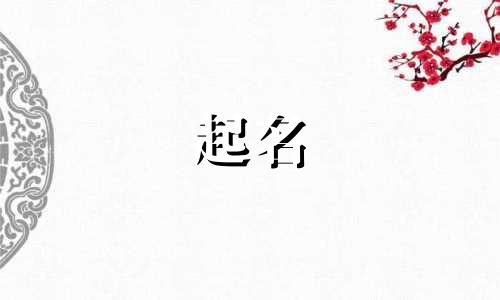 猪年宝宝起名用哪些字最好