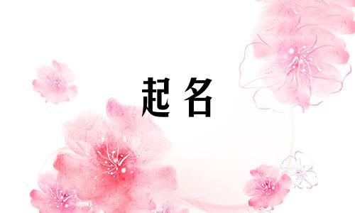 办理营业执照都有哪些起名