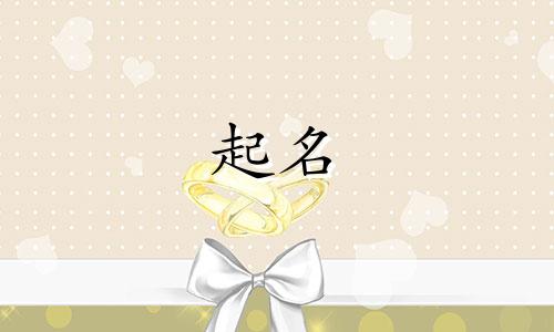 有哪些动物可以起名字