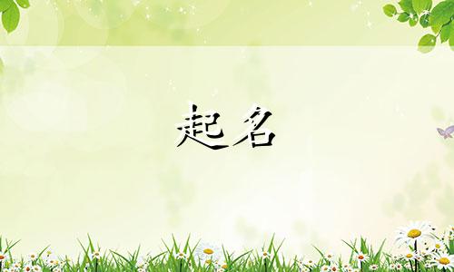 渔业公司起名用哪些字好