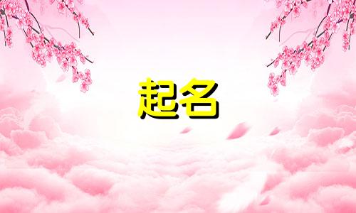 胖孩子起名软件有哪些牌子
