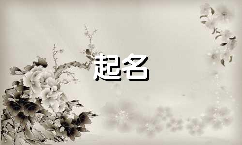 火锅取名重叠字有哪些起名
