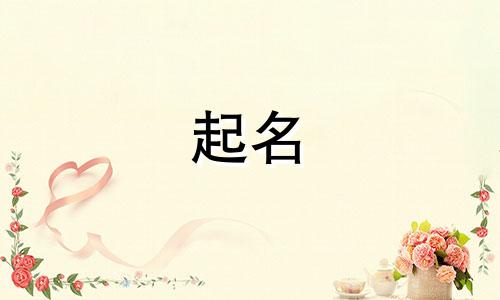 猫咪起名高雅的名字有哪些