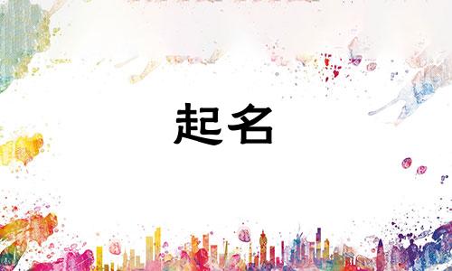 起名可以参考的书籍有哪些