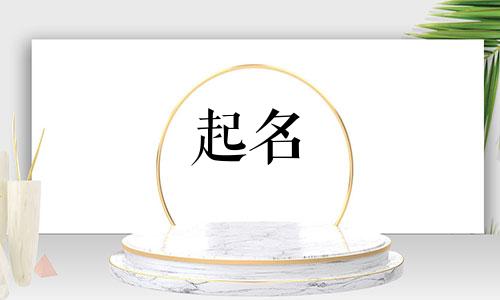 段姓起名例子有哪些名字