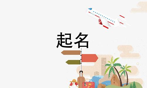 宠物起名外国名称有哪些