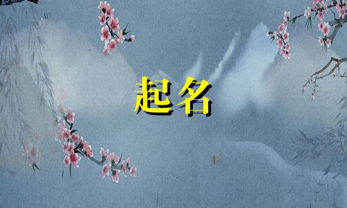 宠物起名中药名字有哪些