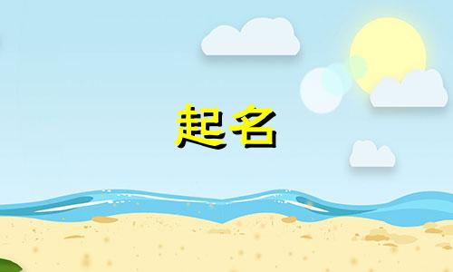 宠物起名字道具有哪些