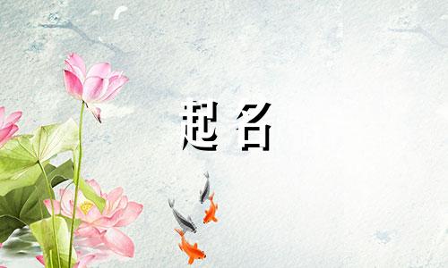 给人起名的讲究有哪些字