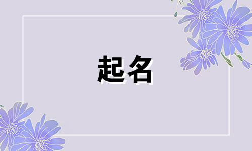 起名搞笑的有哪些名字女