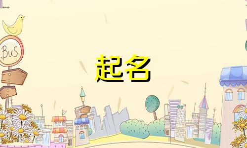 自媒体账号起名技巧有哪些