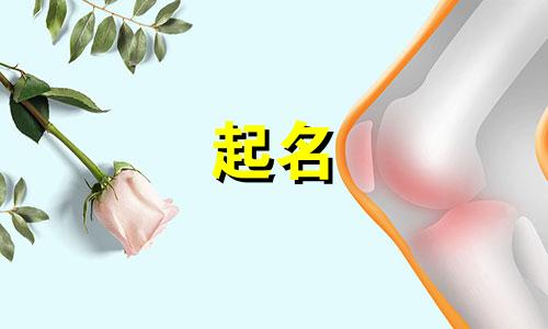 集团起名数字有哪些要求