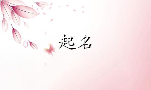 起名看的古书有哪些名字