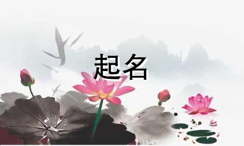 以人名起名的狗狗有哪些