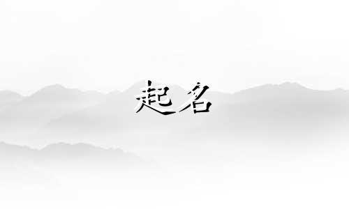 熊猫的起名规律有哪些内容