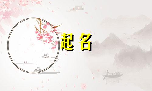 用树木起名公益名字有哪些