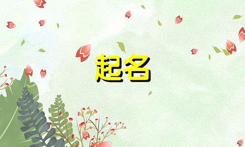 起名常用的动词有哪些英语