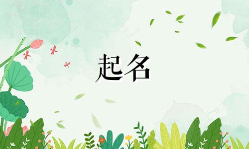 平台起名免费网站有哪些