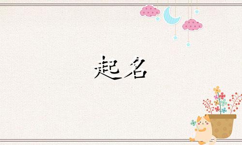 大型会议起名字有哪些