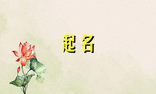 鸡宝宝起名要注意哪些事项