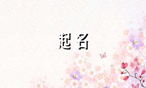 骨字起名的店铺有哪些