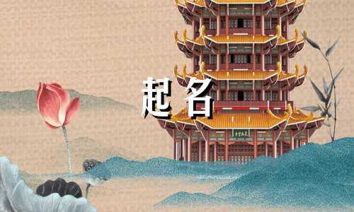 丝巾品牌起名字有哪些