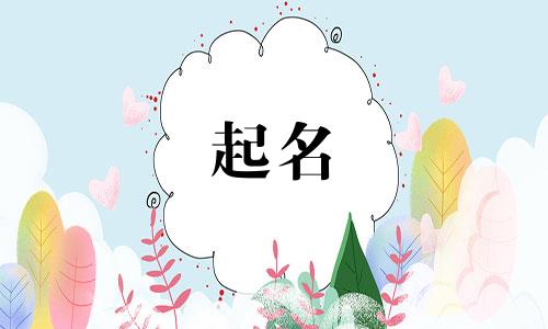 不起名的女孩名字有哪些