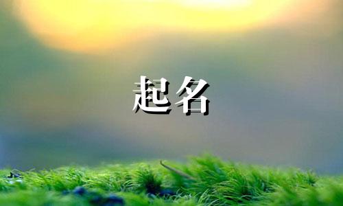 酒店房间起名系列有哪些